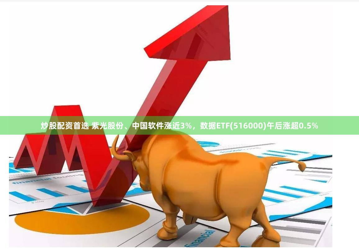 炒股配资首选 紫光股份、中国软件涨近3%，数据ETF(516000)午后涨超0.5%