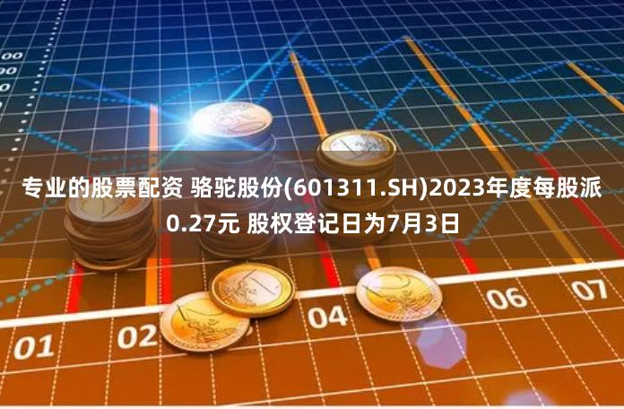 专业的股票配资 骆驼股份(601311.SH)2023年度每股派0.27元 股权登记日为7月3日