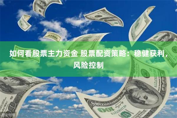 如何看股票主力资金 股票配资策略：稳健获利，风险控制